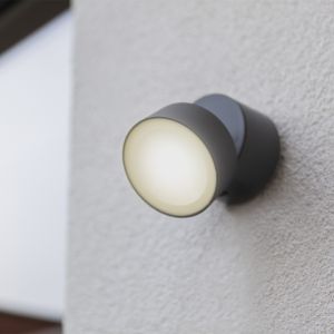 Charcoal Trumpet Outdoor LED Wall Light
