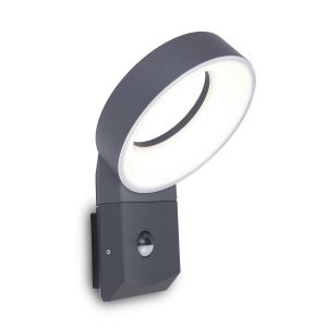 Meridian Outdoor LED Wall Light With PIR Motion Sensor